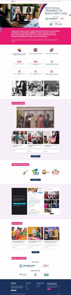 professional website design and development services layout